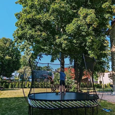 Livu 10 2 Apartment